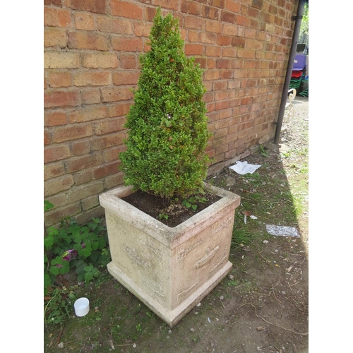602 - A large square garden pot containing shrub, approx. 47 x 47 x 50 cm