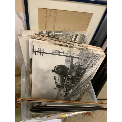Lot 23        