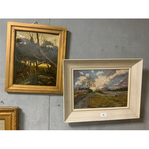 Lot 30        
