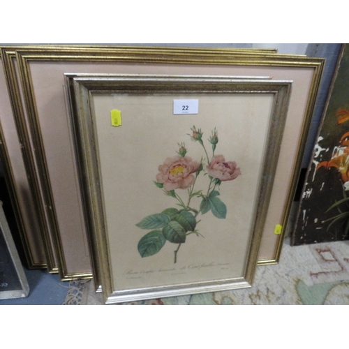 Lot 22        