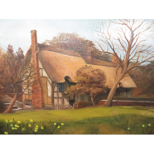 Lot 29        