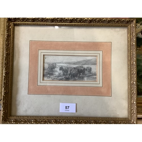 Lot 57        