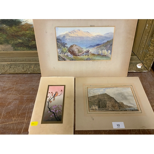 Lot 12        