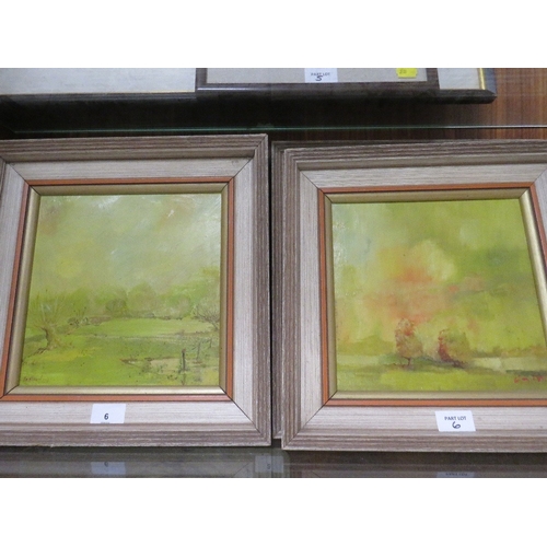 Lot 6         