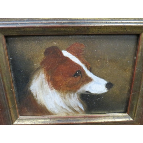 Lot 54        