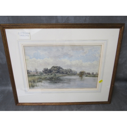 Lot 6         