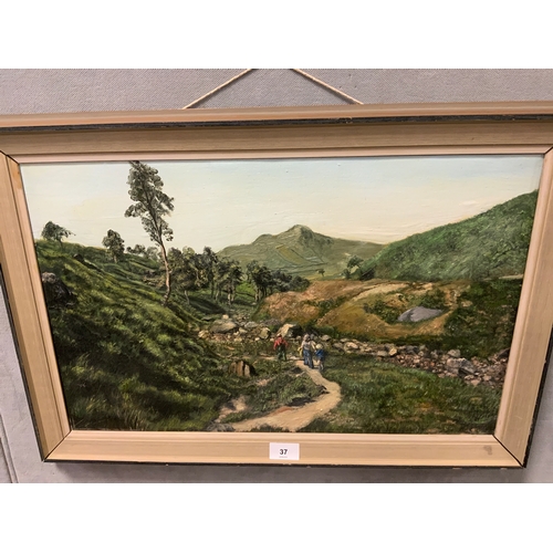 Lot 37        