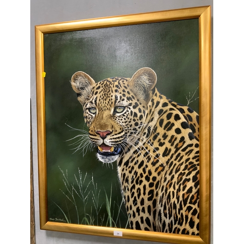 Lot 24        