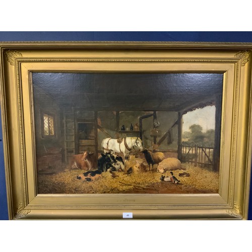 Lot 49        