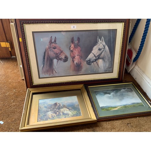 Lot 55        