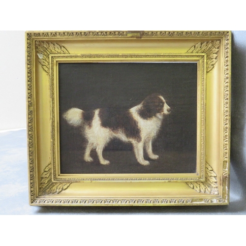 Lot 44        