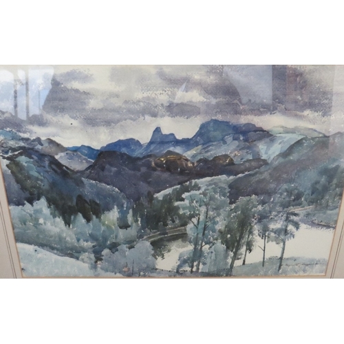 Lot 29        