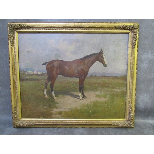 Lot 51        