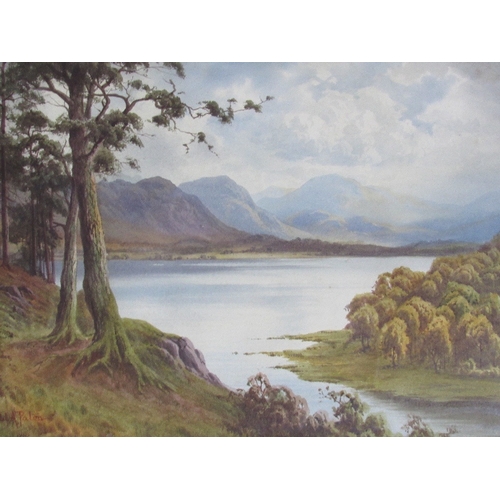 Lot 36        