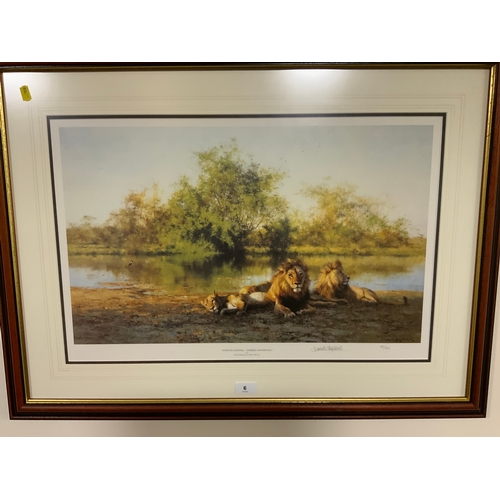 Lot 6         