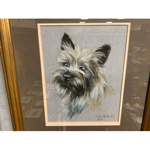 Lot 24        