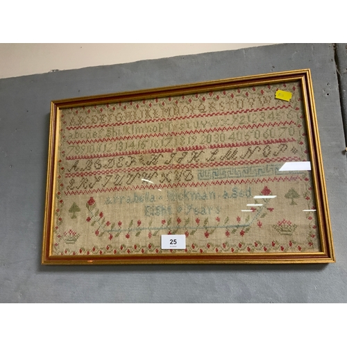 Lot 25        