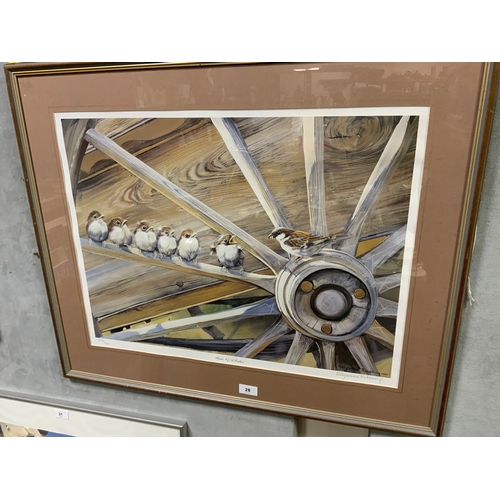 Lot 28        