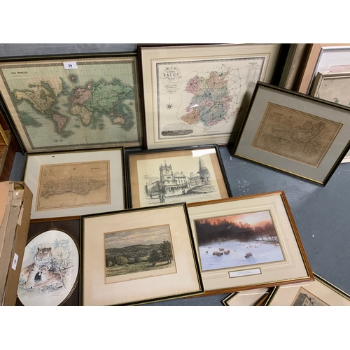 Lot 29        