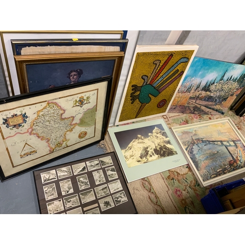 Lot 31        