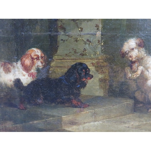 Lot 43        