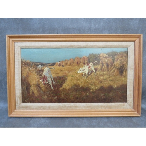 Lot 54        