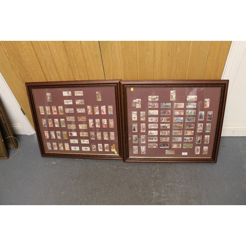 Lot 57        