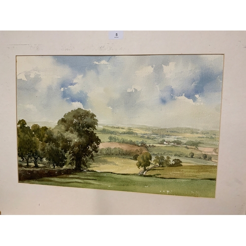 Lot 5         