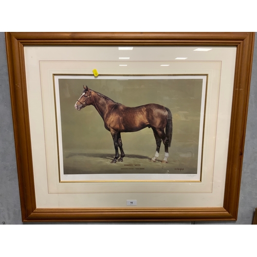 Lot 16        