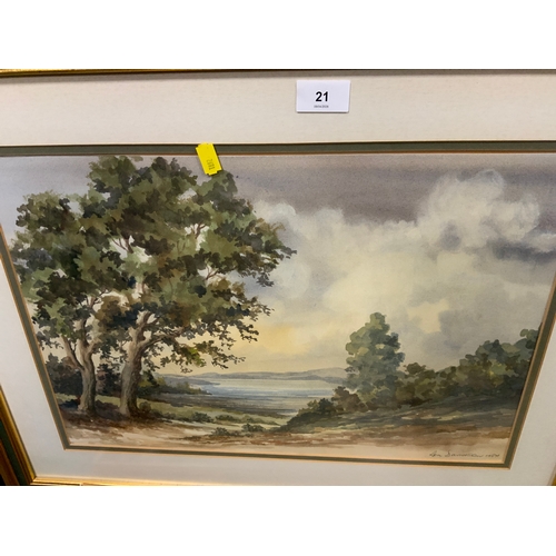 Lot 21        