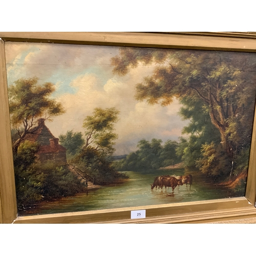 Lot 25        