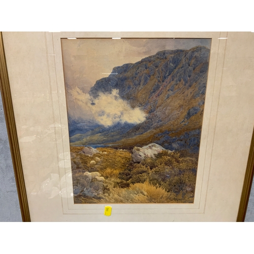 Lot 26        