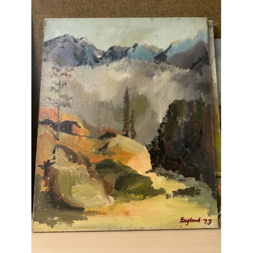 7 - Frederick J England - Three oil on canvas depicting Alpine scenes -  Largest 51 x 61 cm. (3)