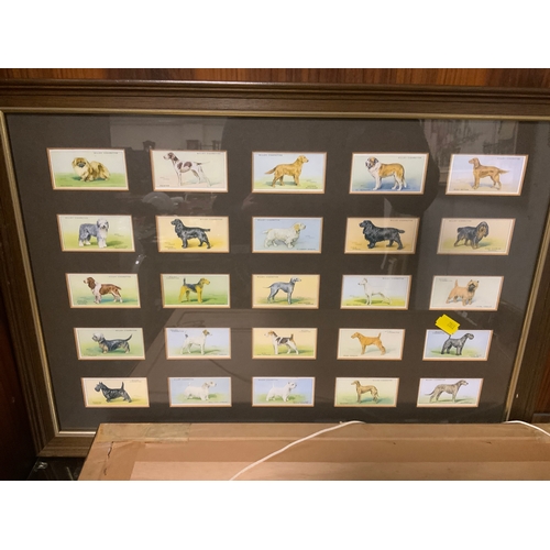 12 - Three sets of framed cigarette cards depicting dogs and footballers and a small Terrier print. (4)