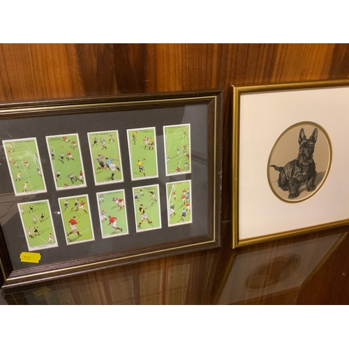 12 - Three sets of framed cigarette cards depicting dogs and footballers and a small Terrier print. (4)