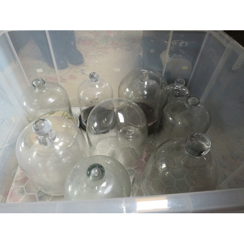 142 - A collection of glass domes/cloches