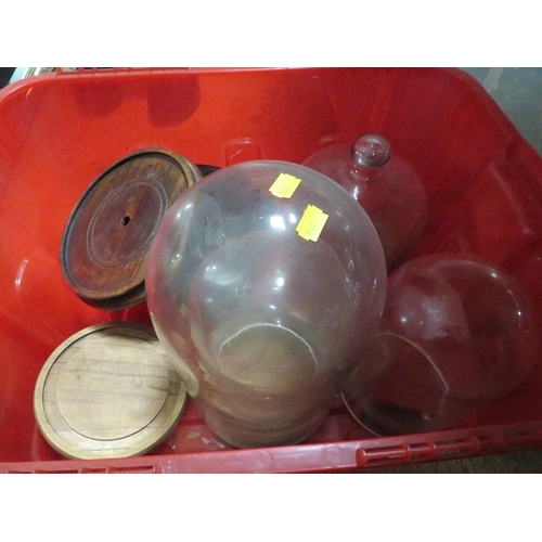 142 - A collection of glass domes/cloches