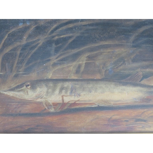 Lot 33        