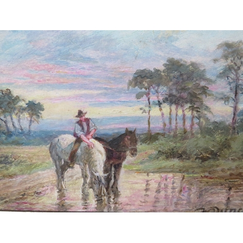 Lot 46        