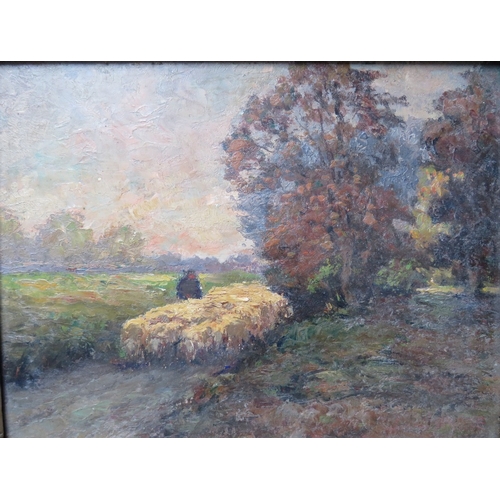 Lot 56        