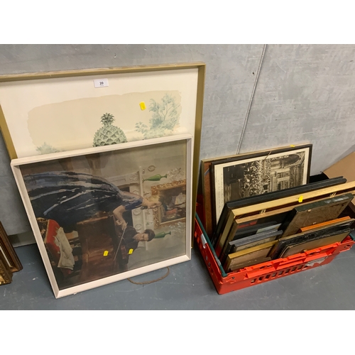 Lot 20        