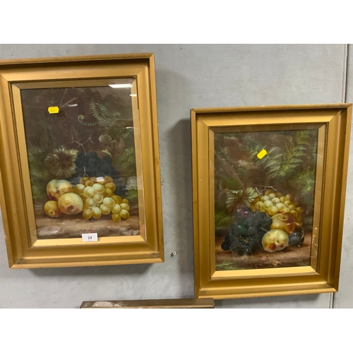 Lot 24        