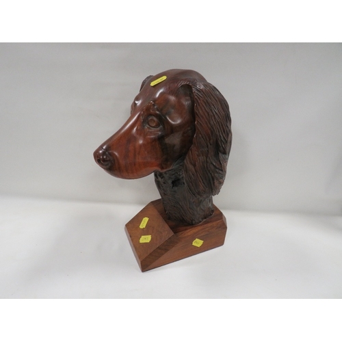 A carved wooden bust of a spaniel / springer spaniel dog
