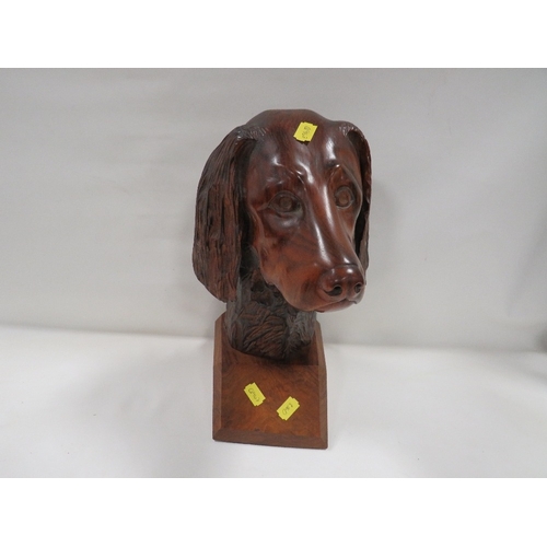 A carved wooden bust of a spaniel / springer spaniel dog
