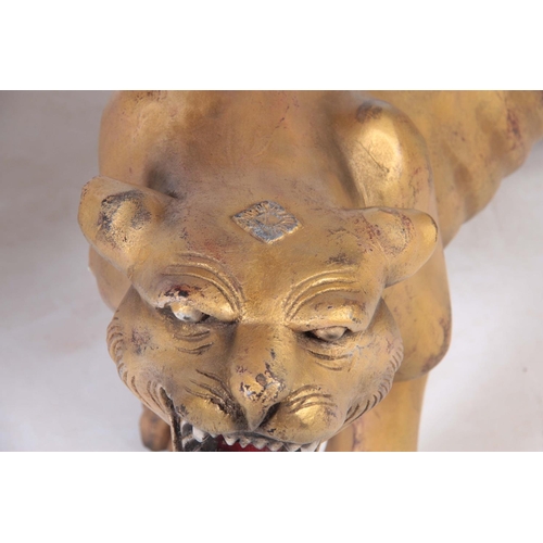 128 - A PAIR OF CARVED GILTWOOD TIGERS.