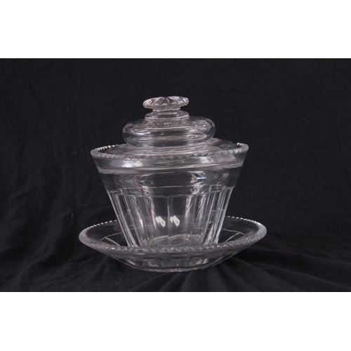 17 - AN ANGLO IRISH GEORGIAN CUT GLASS LIDDED BUTTER DISH AND STAND,15cm high by 16.5 cm wide.