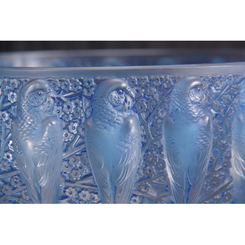 19 - R. LALIQUE, FRANCE A 20TH CENTURY OPALESCENT PERRUCHE BOWL HIGHLIGHTED WITH BLUE STAINING decorated ... 