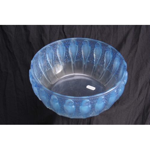 19 - R. LALIQUE, FRANCE A 20TH CENTURY OPALESCENT PERRUCHE BOWL HIGHLIGHTED WITH BLUE STAINING decorated ... 