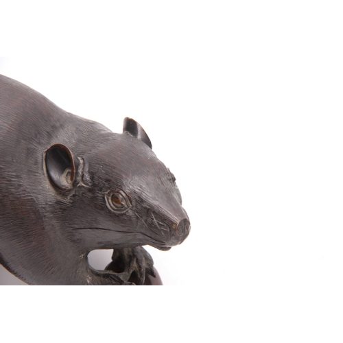 244 - A LIFESIZE JAPANESE MEIJI PERIOD PATINATED BRONZE SCULPTURE modelled as a rat with nut, character ma... 