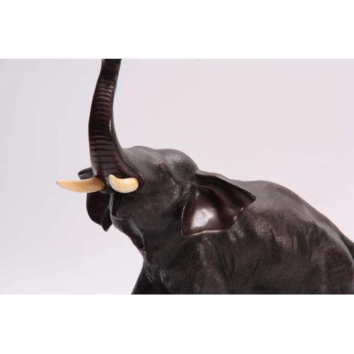 247 - A JAPANESE MEIJI PERIOD PATINATED BRONZE SCULPTURE modelled as an elephant with ivory tusks freestan... 